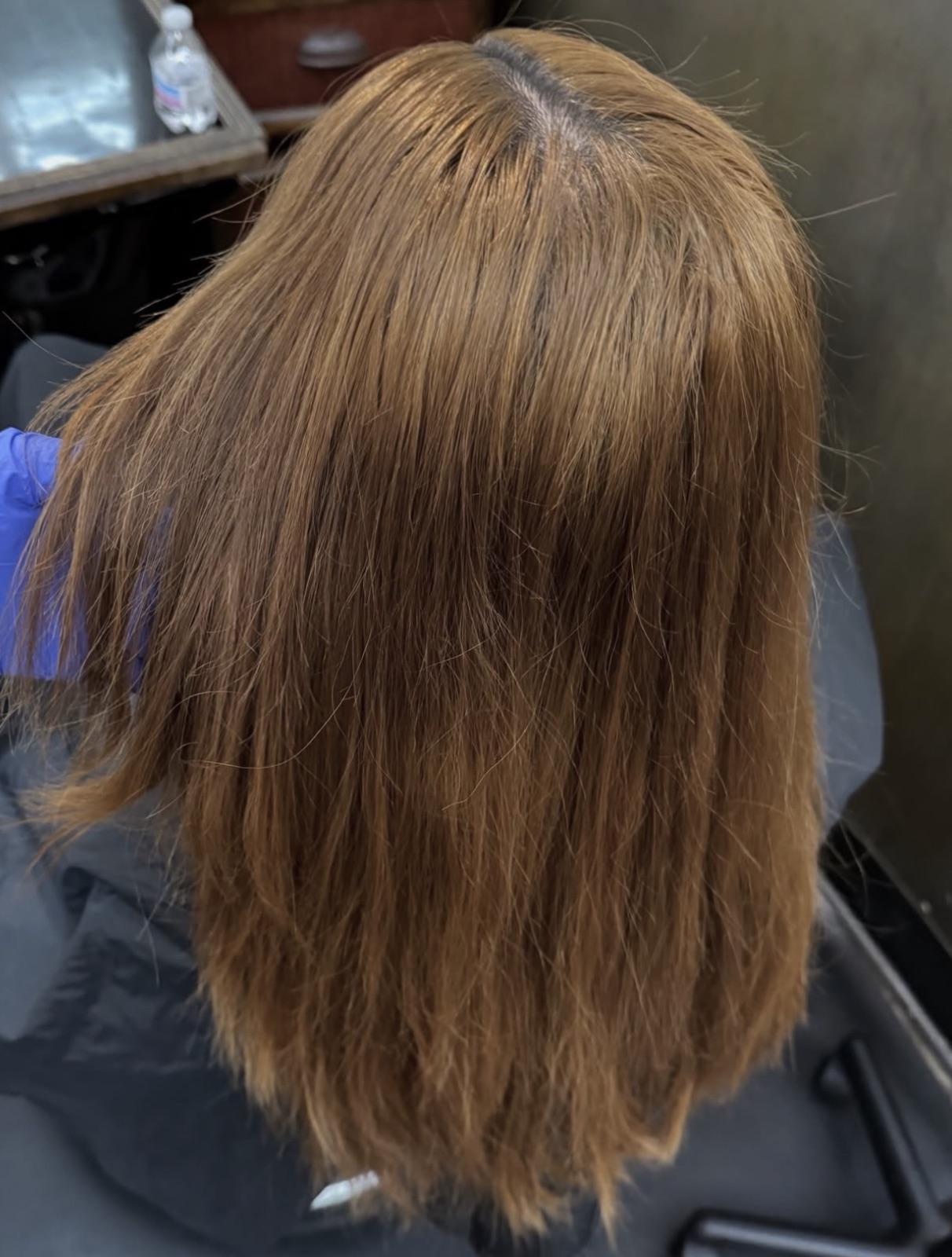 Dry damaged brunette before