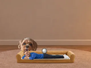 Me in Posie's dog bed with Posie peeking
